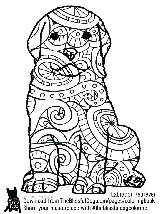 564x729 Labrador Retriever Coloring Pages Retriever Coloring Pages