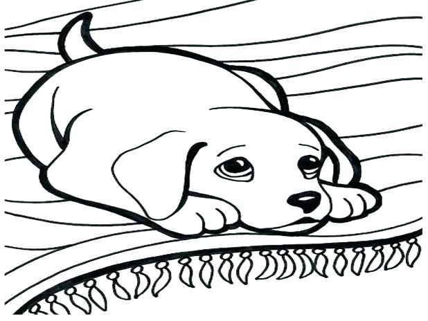 618x464 Labrador Coloring Pages