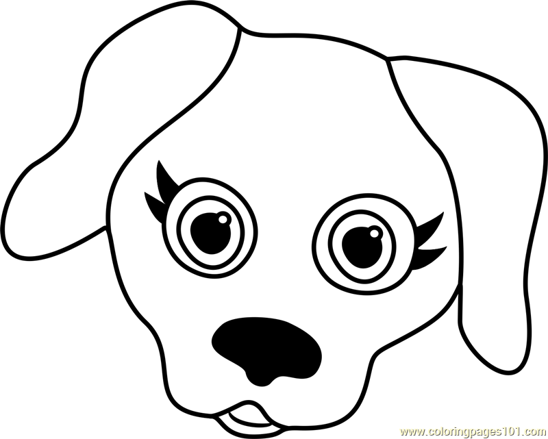 800x641 Labrador Puppy Face Coloring Page
