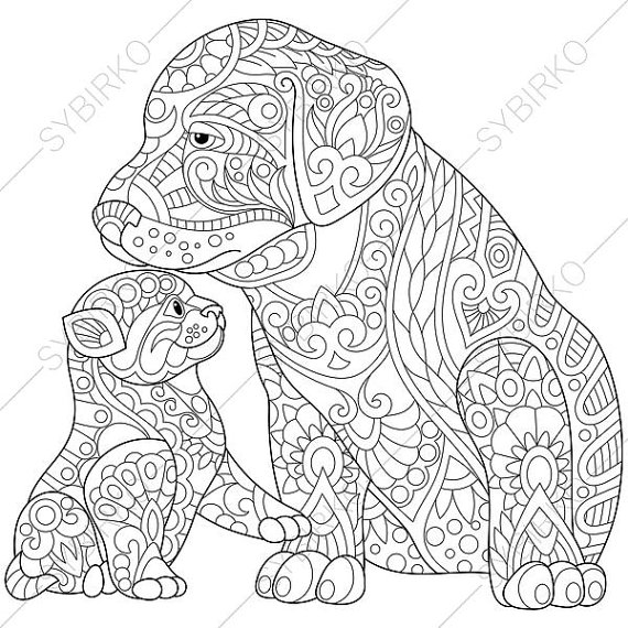 570x570 Labrador Puppy And Kitten Coloring Page For Friendship Day
