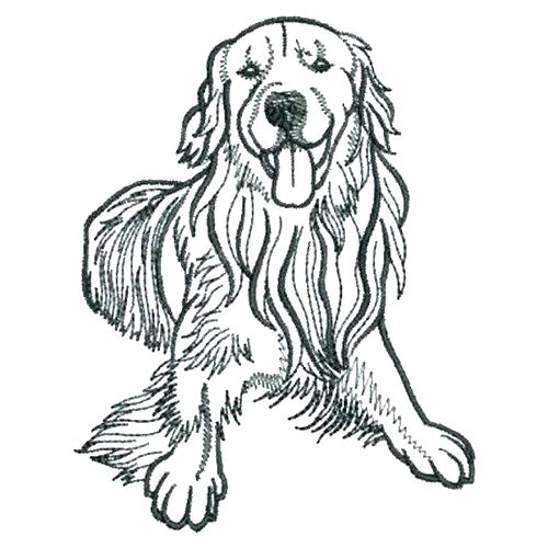 500x500 Labrador Retriever Coloring Pages Gallery Of Golden Retriever