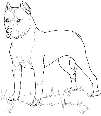 419x480 Labrador Retriever Coloring Pages Retriever Coloring Pages