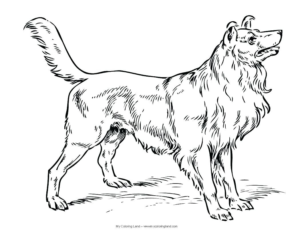 1056x816 Labrador With Puppies Coloring Page Lovely Realistic Pages Of Dogs