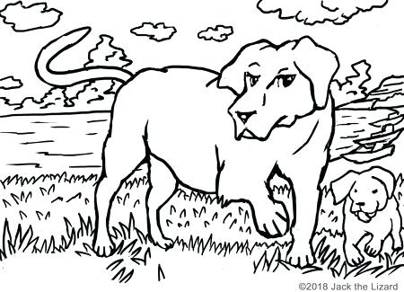 450x325 Labrador Retriever Coloring Pages Coloring Pages Of Retrievers