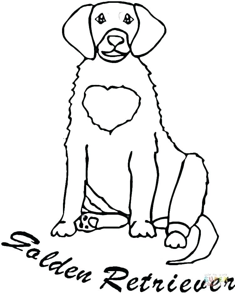 750x938 Labrador Coloring Pages Retriever Coloring Pages Click The Golden