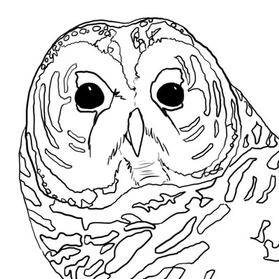 400x400 Coloring Pages