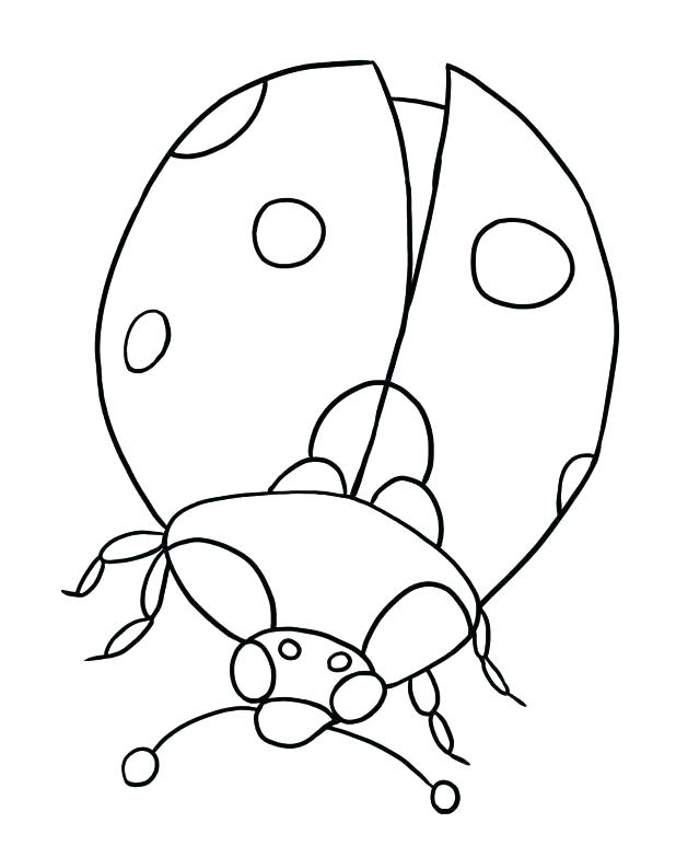 Ladybug Coloring Page at GetDrawings | Free download