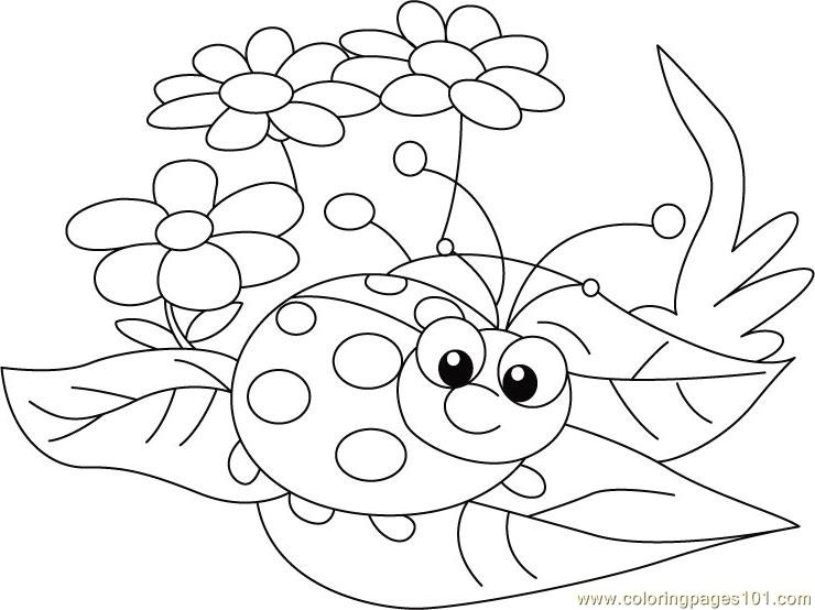 Ladybug Coloring Page at GetDrawings | Free download