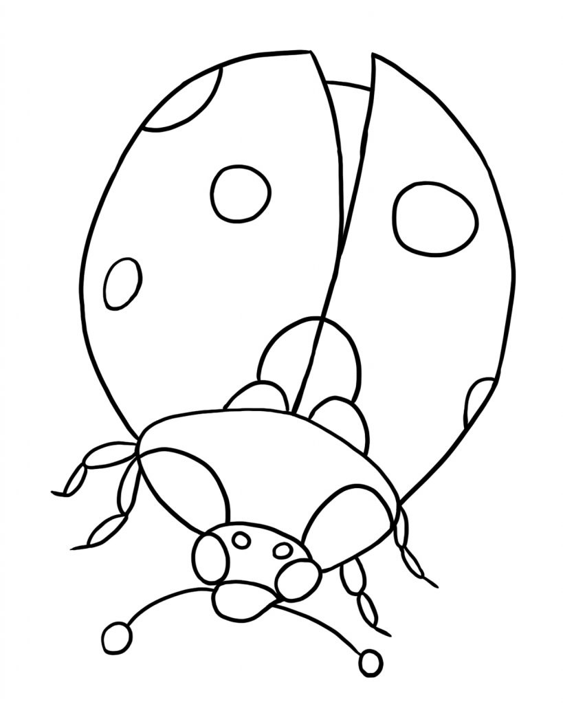 819x1024 Ladybug Coloring Page Elegant Free Coloring Pages Of Ladybird