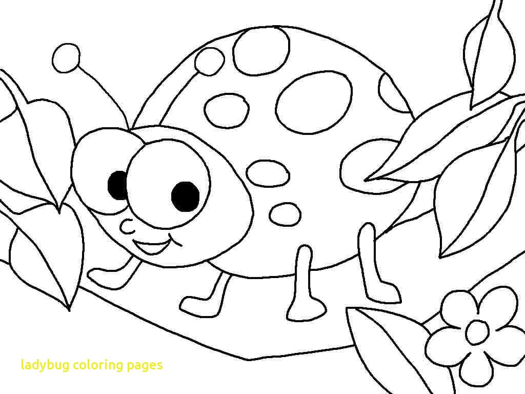 1024x768 Ladybug Coloring Pages With Printable Sheet About Remodel