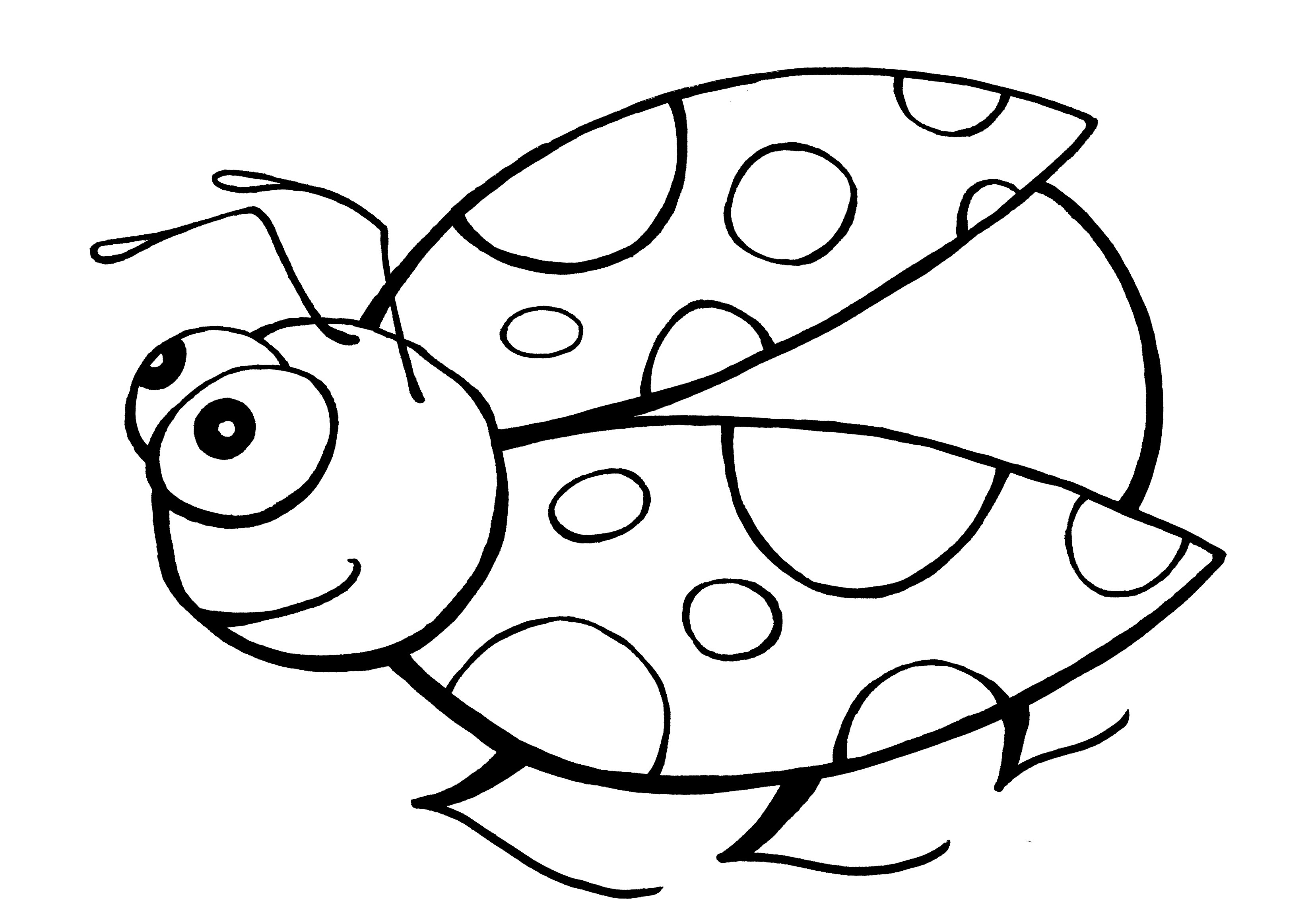 3300x2326 Valuable Idea Ladybug Coloring Page Pages For Preschoolers