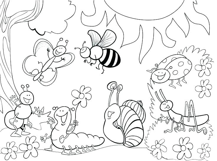 736x545 Coloring Bugs Creative Decoration Bug Coloring Pages Insects