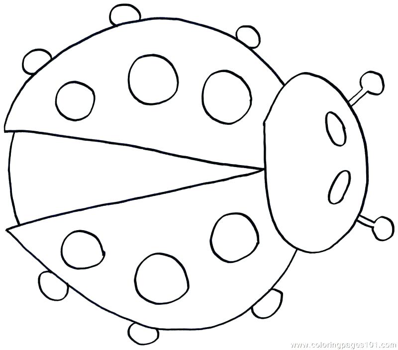 800x704 Ladybug Coloring Page
