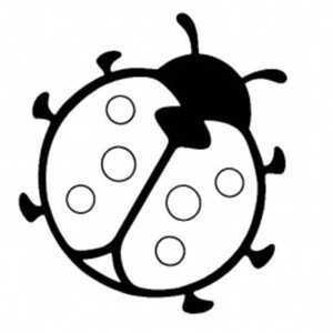 300x300 Ladybug Coloring Pages