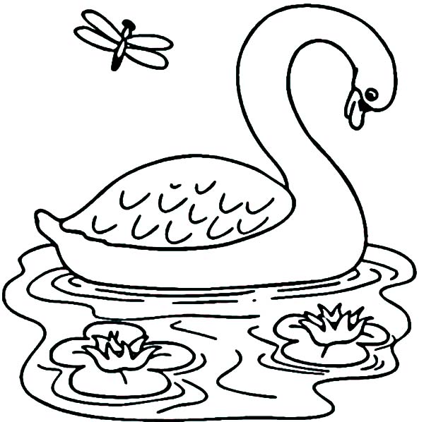 600x598 Swans And Dragonfly In The Lake Coloring Pages Batch Coloring