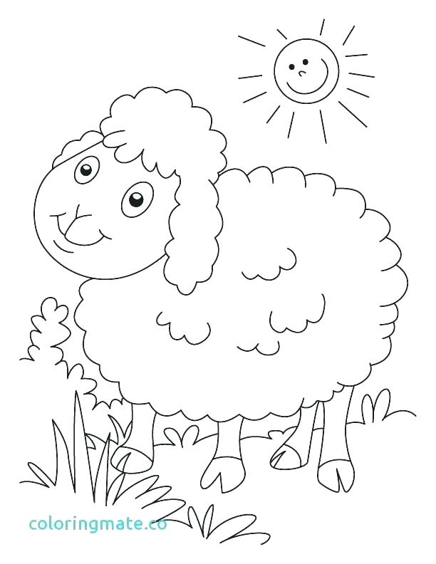 612x792 Sheep Coloring Pages Baby Sheep Coloring Pages Coloring Page