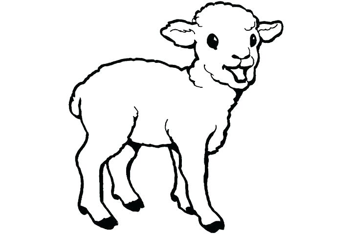 720x480 Sheep Outline Plus Ram Outline Coloring Page Free Printable