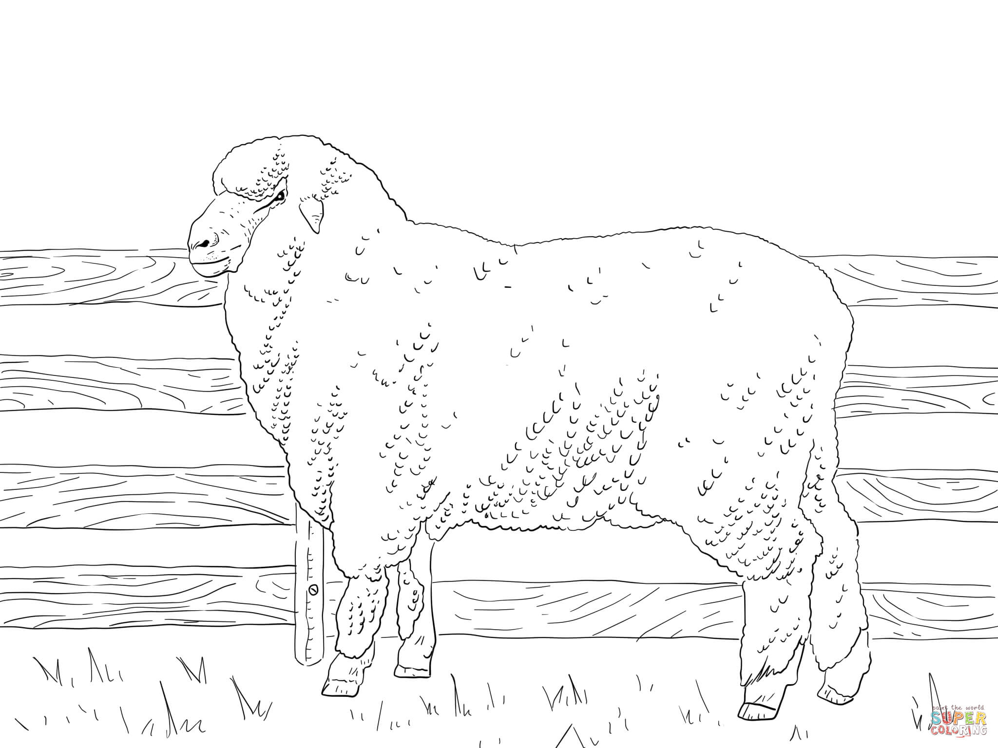 2048x1536 Lamb Coloring Page Free Printable Coloring Pages Lamb Coloring