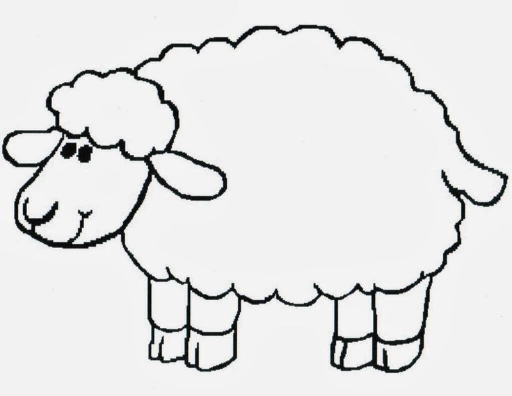 736x570 Lamb Coloring Sheet Coloring Page Sporturka Lamb Coloring Sheet