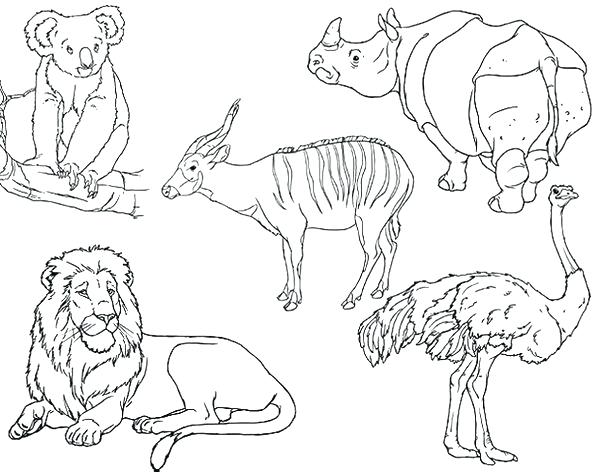 600x472 Coloring Pages For Adults Online Land Animals Sheets Childhood