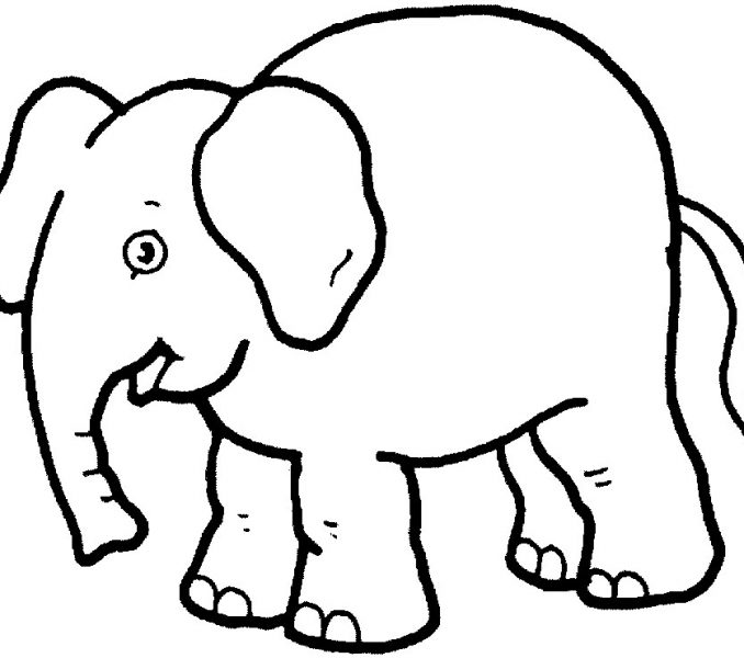 678x600 Land Animals Coloring Pages Free Coloring Page