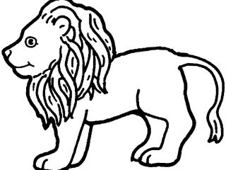 320x240 Land Animals Coloring Pages Land Animals To Color S Coloring Sheet