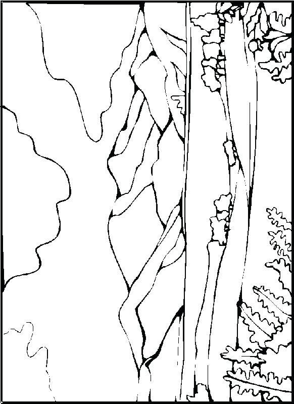 582x800 Landscape Coloring Pages Comic Coloring Pages Desert Landscape Car