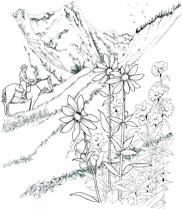 629x720 Scenery Coloring Pages Landscape Coloring Pages For Adults