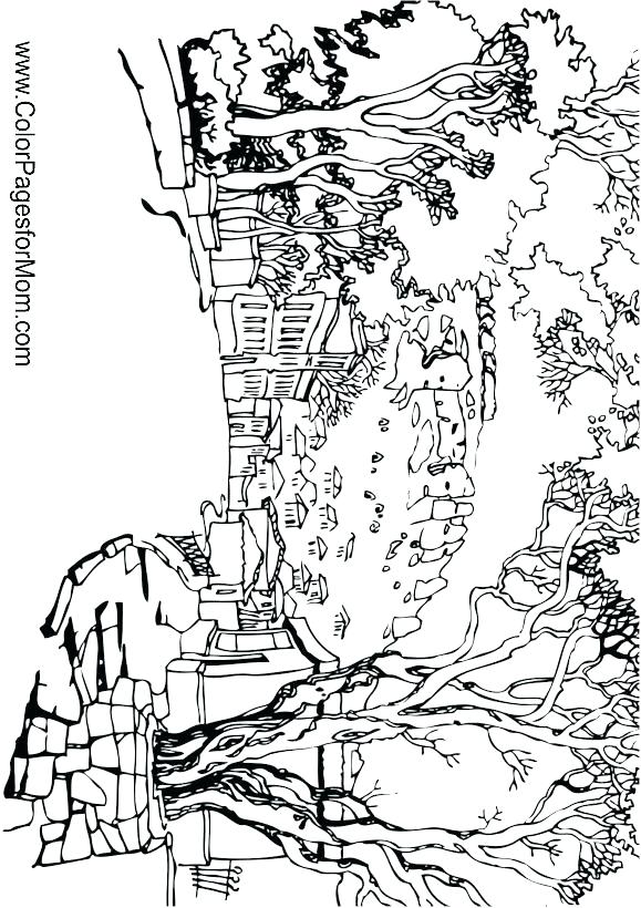 579x820 The Coolest Free Coloring Pages For Adults Color Pages For Adults