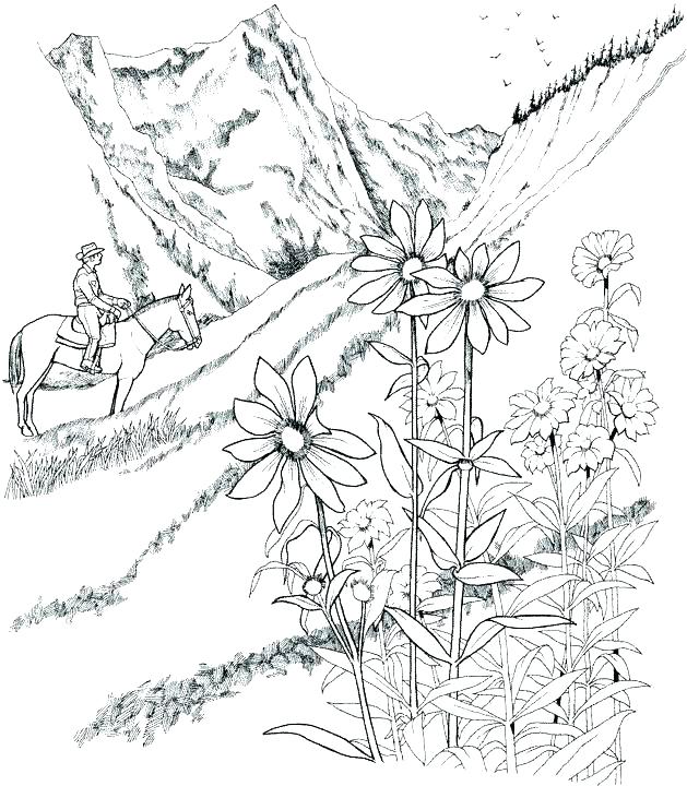 629x720 Scenery Coloring Sheets