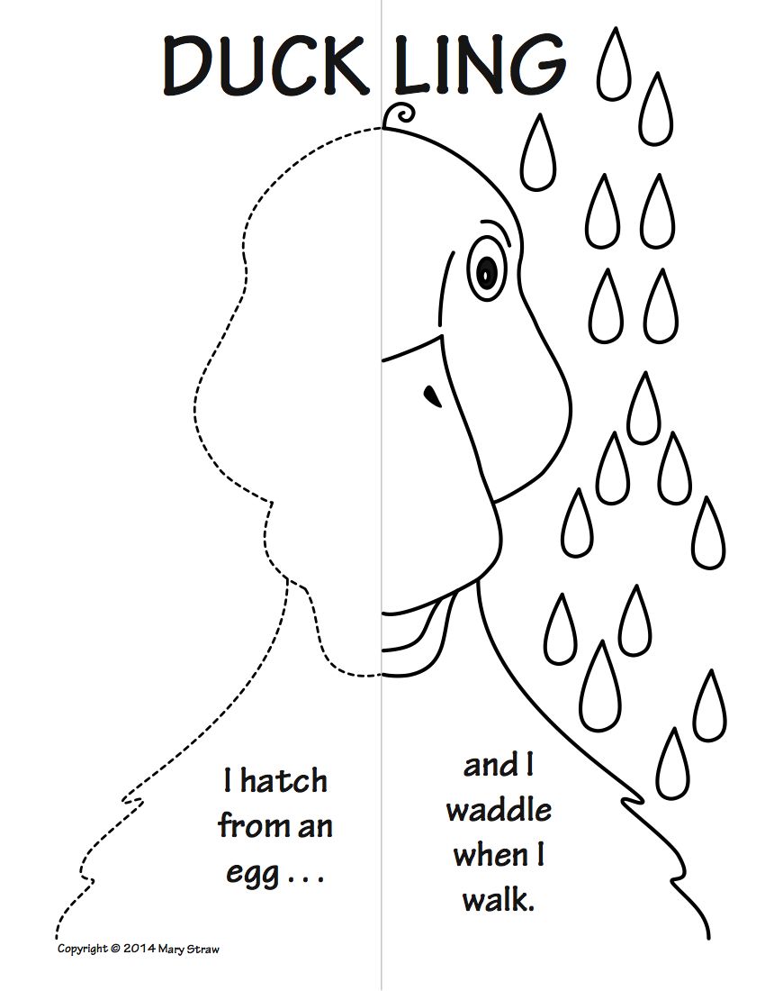 850x1100 Farm Animals Symmetry Activity Coloring Pages Language Arts