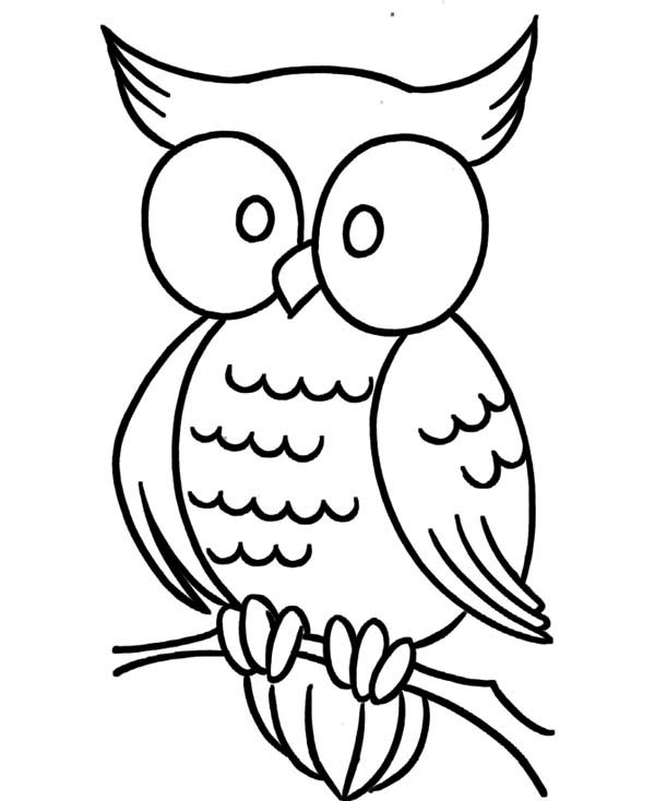 600x734 Large Eye Owl Coloring Page