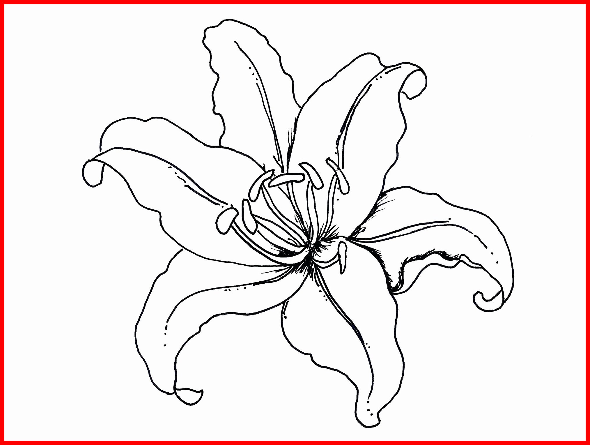 2027x1528 Stunning Lovely Of Exotic Flower Coloring Pages Pic For Trend