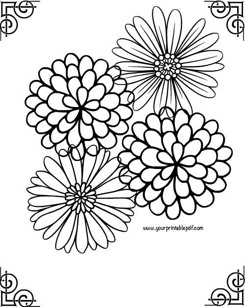 500x625 Flower Coloring Page Archives