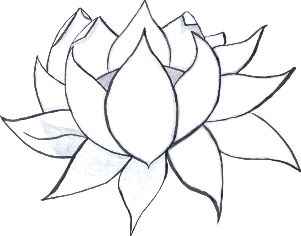 970x761 Large Flower Coloring Pages Coloring Ideas Pro