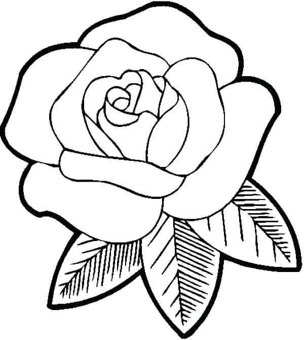 600x670 Coloring Pages Cool Printable Flower Template Printable Paper