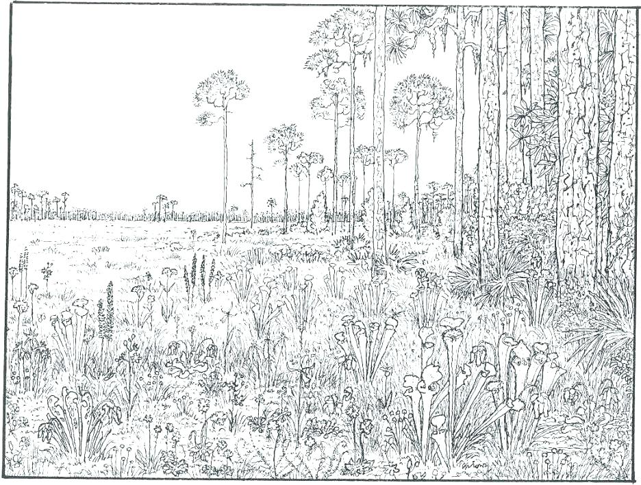 936x708 Difficult Mandala Coloring Pages Exciting Hard Mandala Coloring