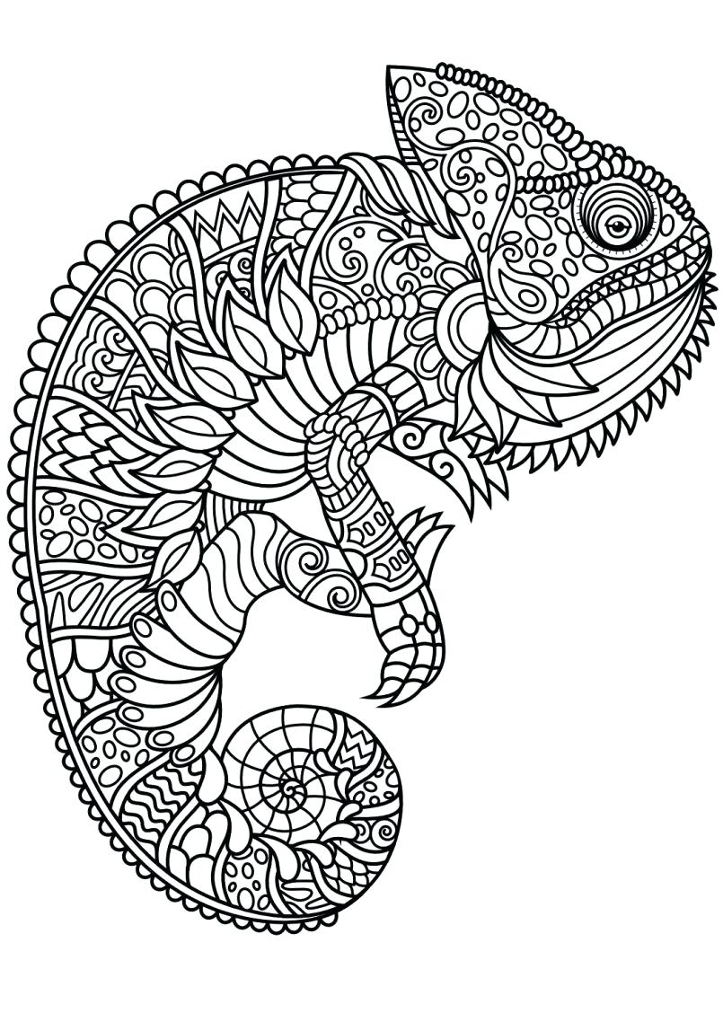 805x1138 Coloring Page Animal Mandala Coloring Pages Also With Farm Pdf
