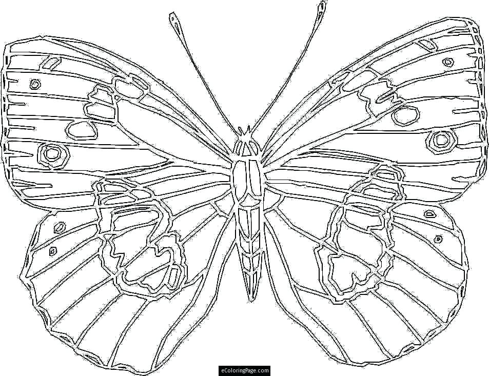 953x733 Large Coloring Pages To Print