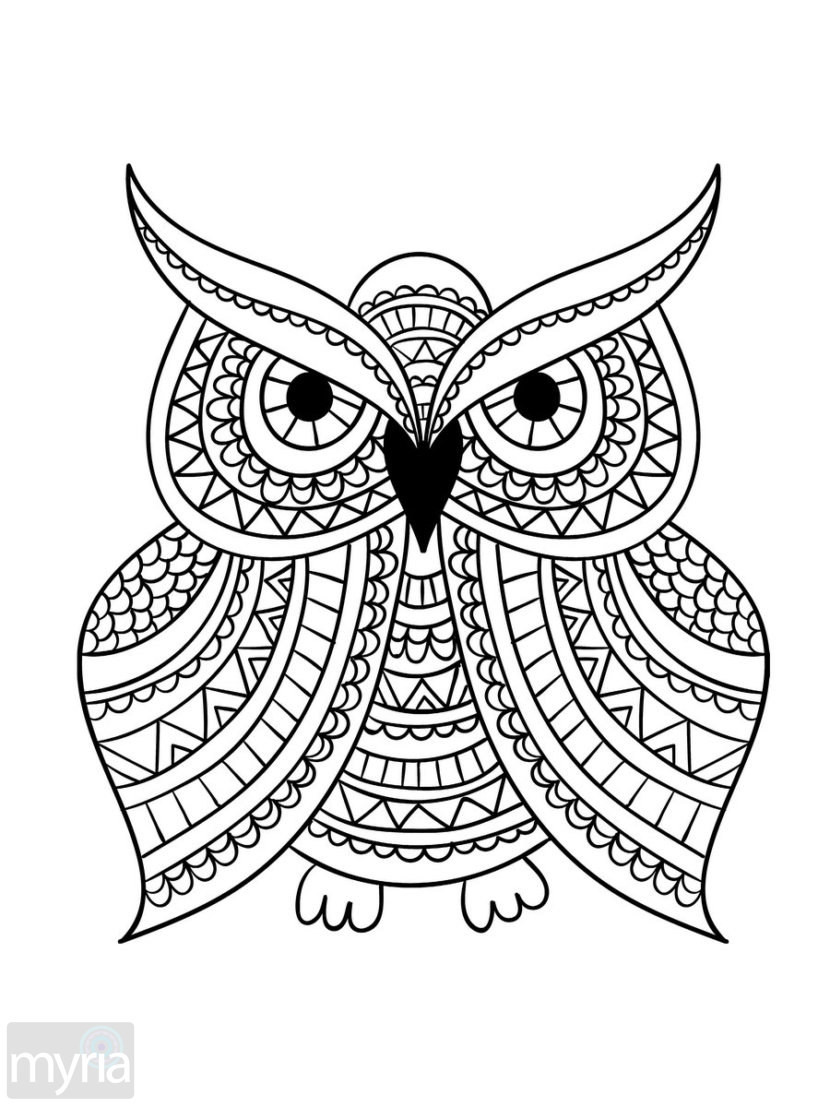 830x1107 Large Print Coloring Pages Acpra
