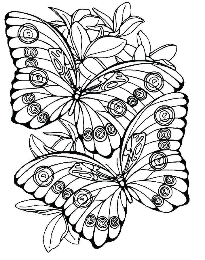 712x900 Large Print Coloring Pages