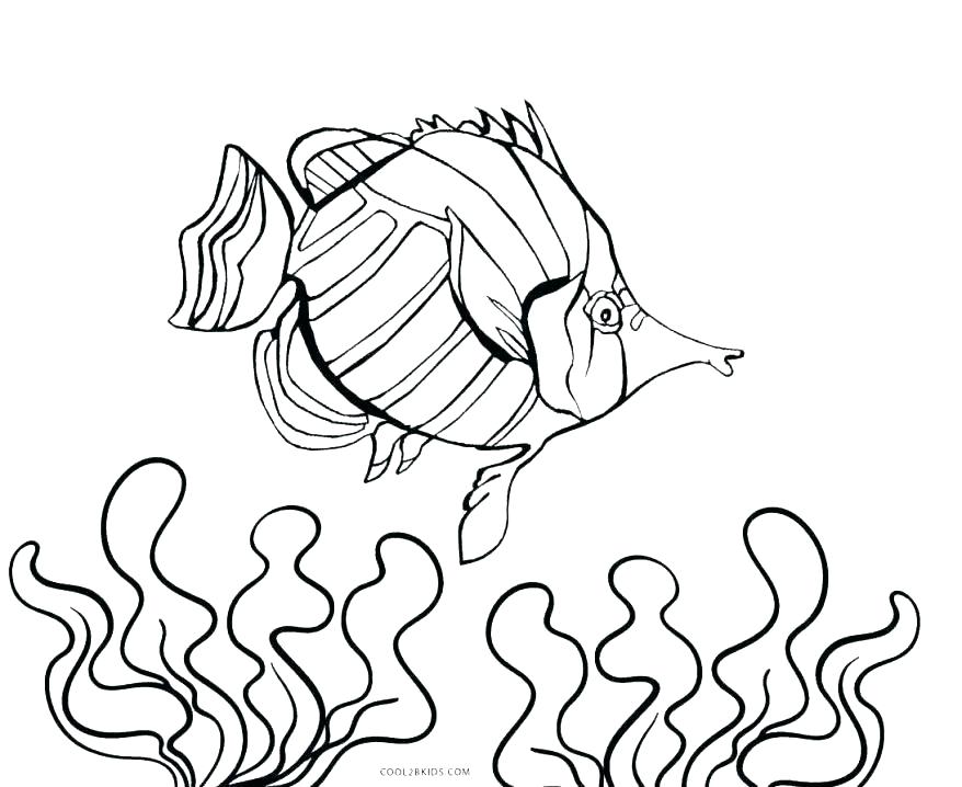 878x718 Bass Coloring Pages Boats Coloring Pages Preschool To Pretty Bass