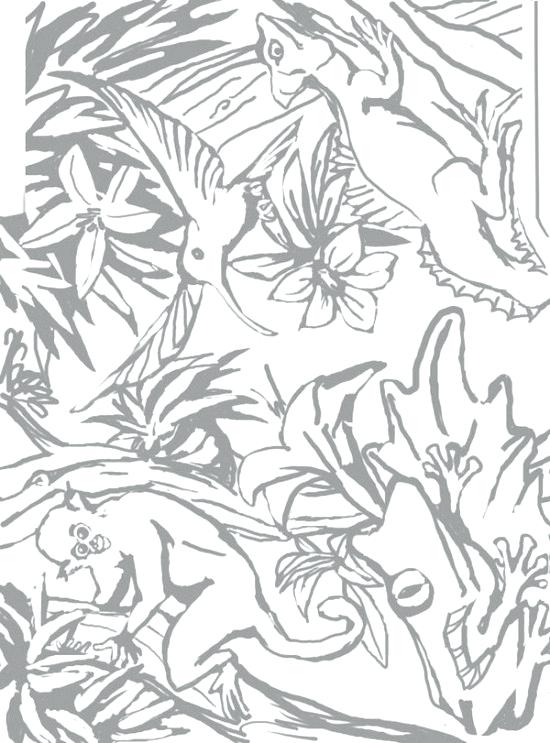 550x743 Rainforest Coloring Page Coloring Pages Coloring Pages With Ideas