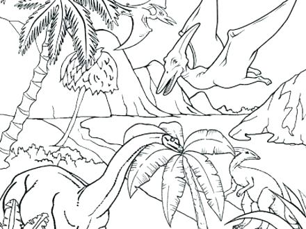 440x330 Rainforest Coloring Page Ocean Animals Coloring Pages Realistic