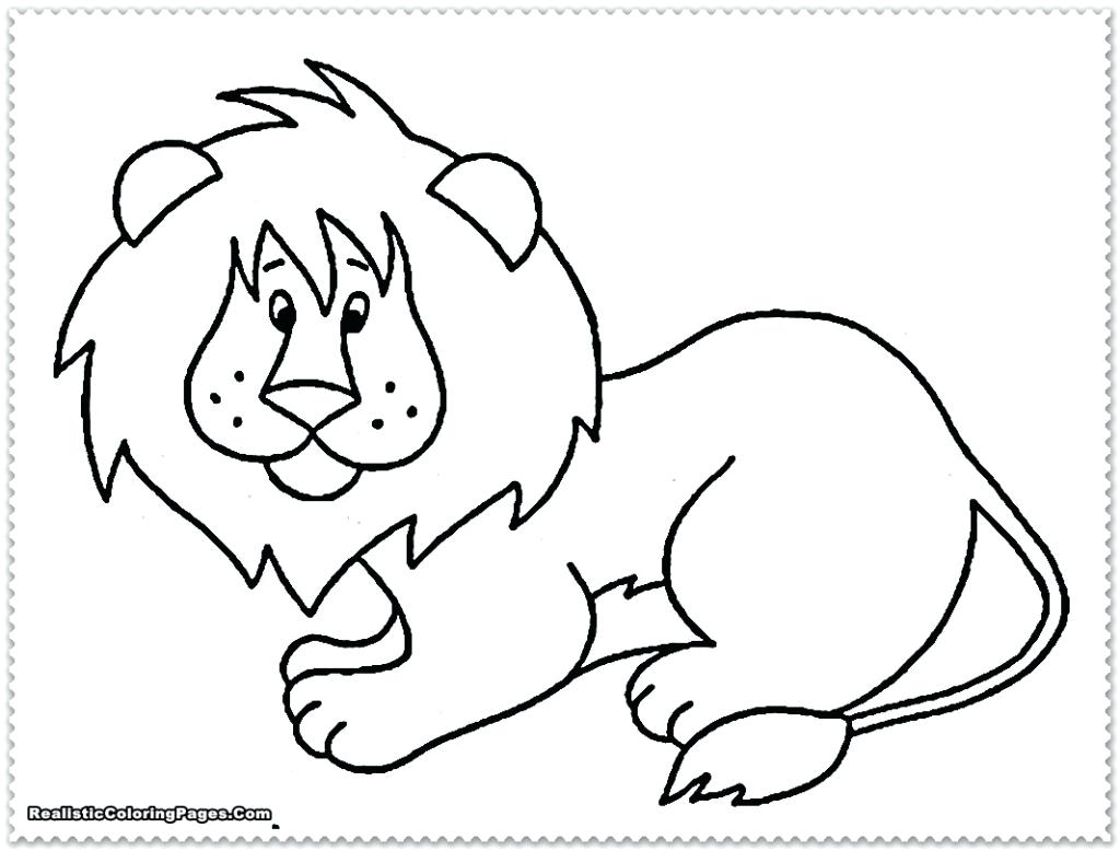 1024x778 African Rainforest Animals Coloring Pages Jungle Drawing Amazon