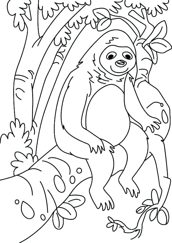600x848 Lazy Town Coloring Pages Sloth Coloring Pages Perfect Sloth