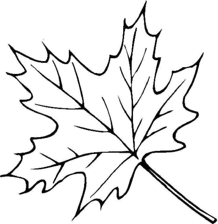 736x755 Mejores De Leaves Coloring Pages En