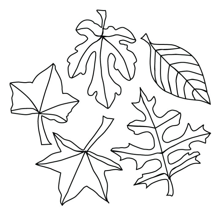 720x699 Autumn Leaves Coloring Page Fall Leaves Coloring Pages Best