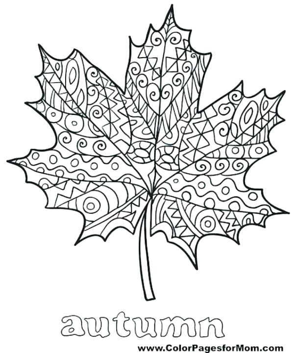 600x722 Coloring Page Of Leaves Coloring Page Leaf Coloring Page Leaf Leaf