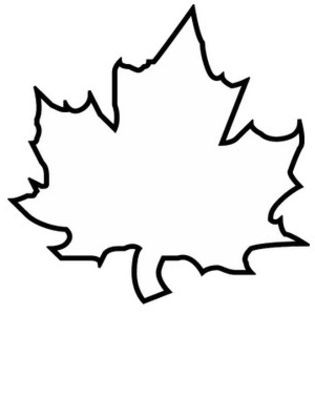 315x420 Leaf Coloring Pages Coloring Pages To Print